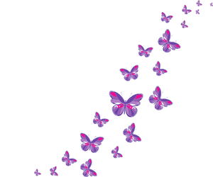 Purple and Pink Butterflies
